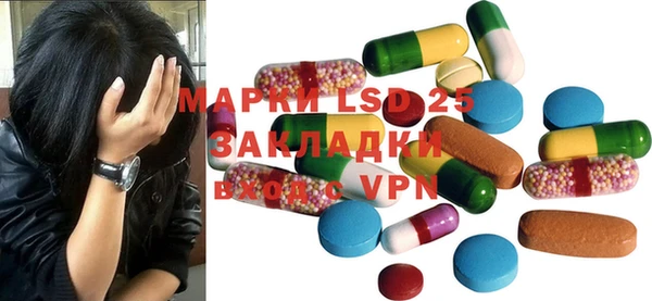 шишки Абинск
