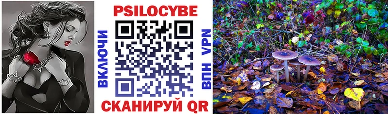 Галлюциногенные грибы Psilocybine cubensis  Тобольск 