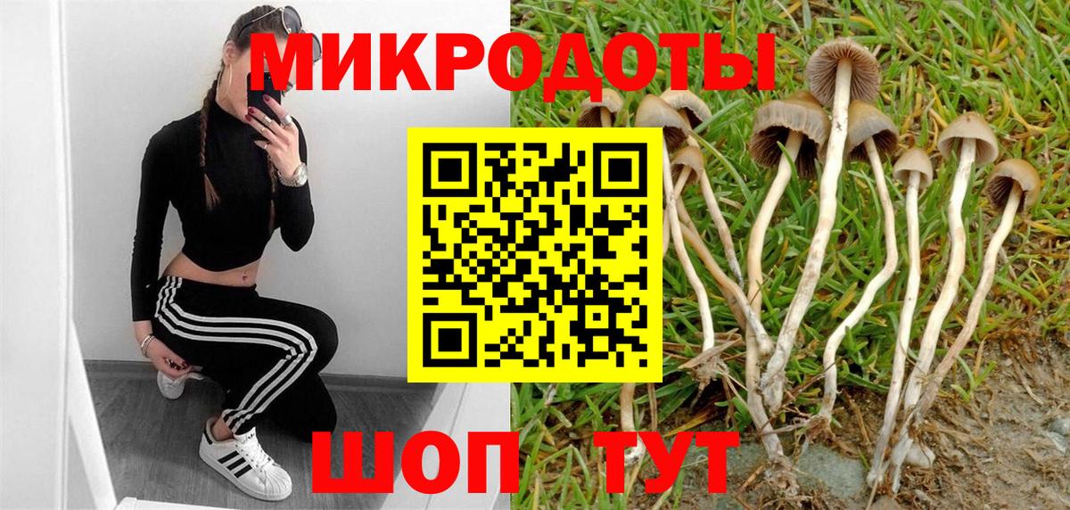 хочу наркоту  Вход с VPN  Тобольск  Галлюциногенные грибы мухоморы  Псилоцибиновые грибы Psilocybe 
